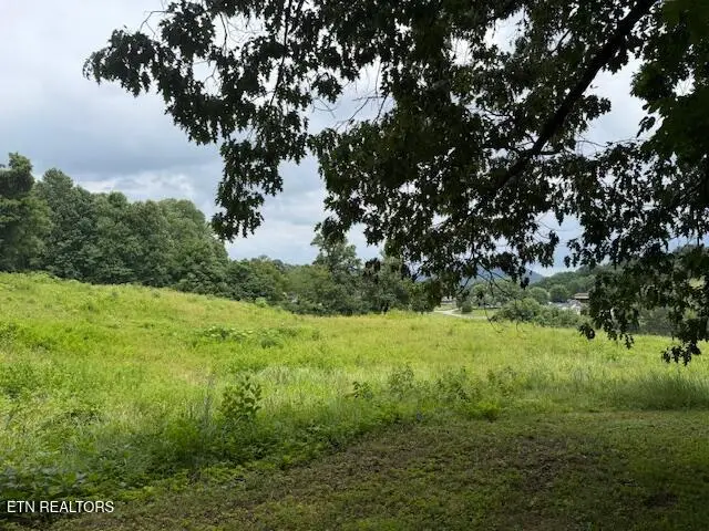 S Ridge Crest Rd, Luttrell, TN 37779 - #2
