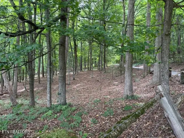 S Ridge Crest Rd, Luttrell, TN 37779 - #3