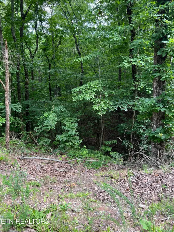 Three Point Rd, Vonore, TN 37885