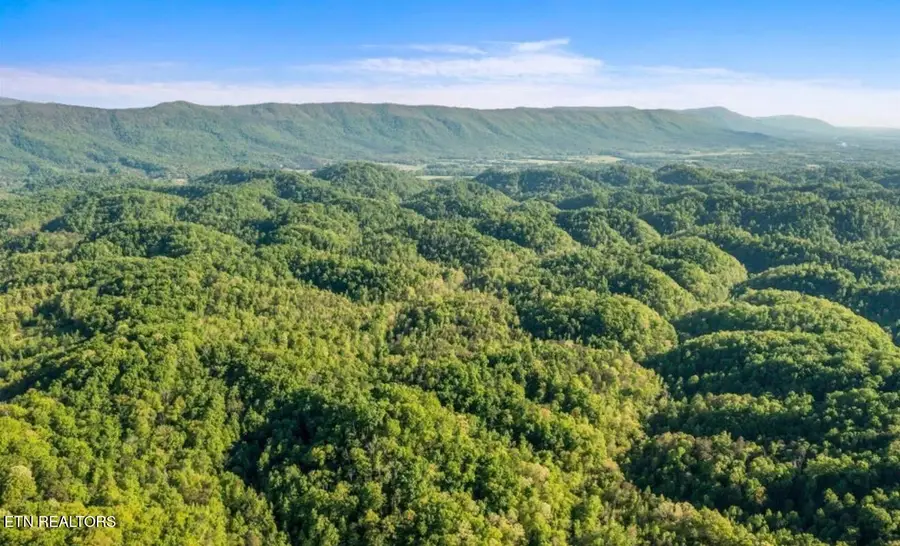County Road 484, Etowah, TN 37331 - #3
