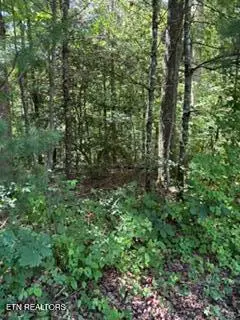 850 Lick Hollow Drive, Grandview, TN 37337 - #2