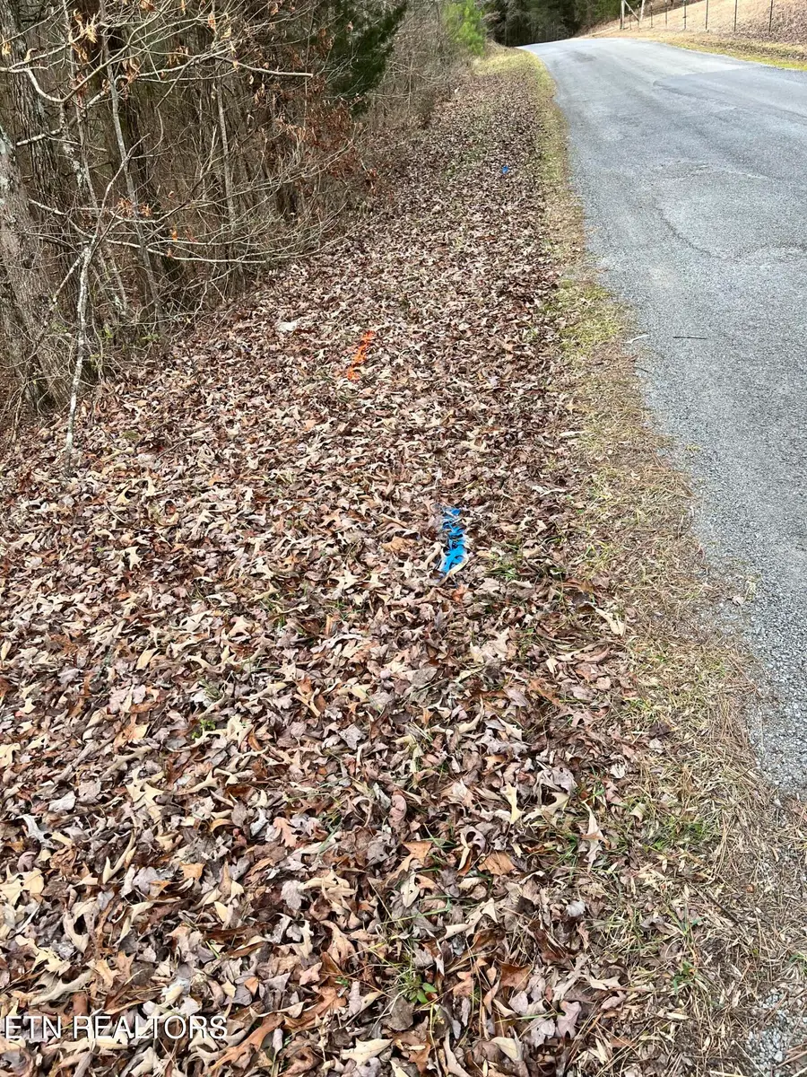 450 Butler Rd, Decatur, TN 37322 - #3