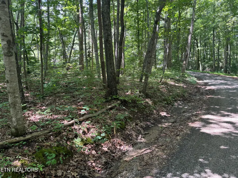 Peacock Rd, Deer Lodge, TN 37726 - #2