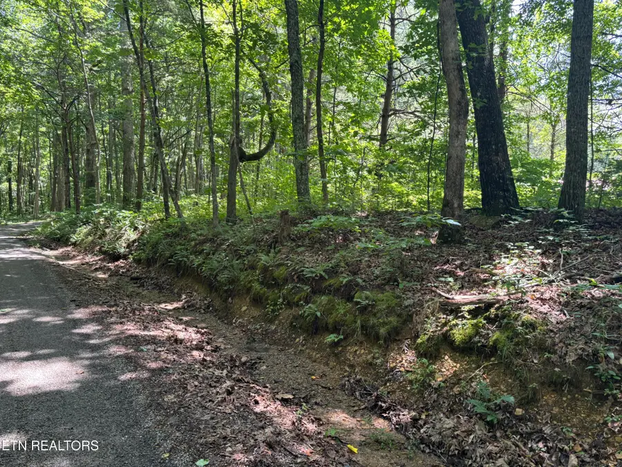Peacock Rd, Deer Lodge, TN 37726 - #3