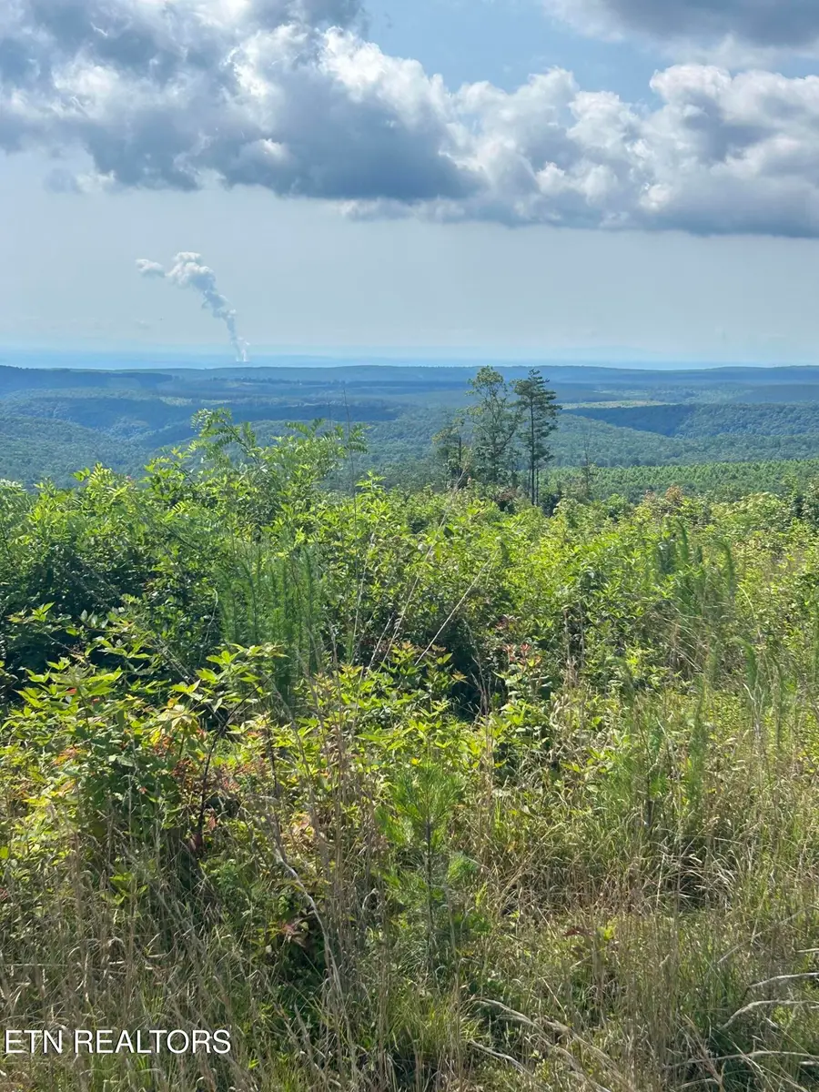 506 Sweeny Branch Rd, Spring City, TN 37381 - #3