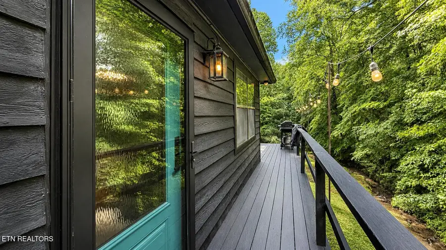 204 Black Fox Harbor Rd, Washburn, TN 37888 - #3