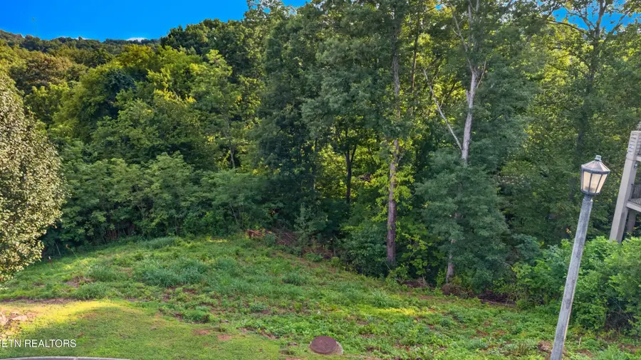 Maggie Mack Lane, Sevierville, TN 37862 - #2