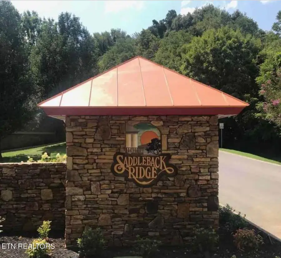 Maggie Mack Lane, Sevierville, TN 37862 - #3