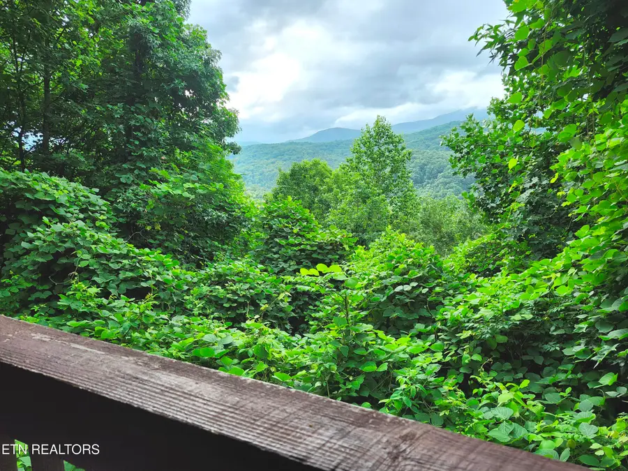 559 Crest Rd, Gatlinburg, TN 37738 - #2