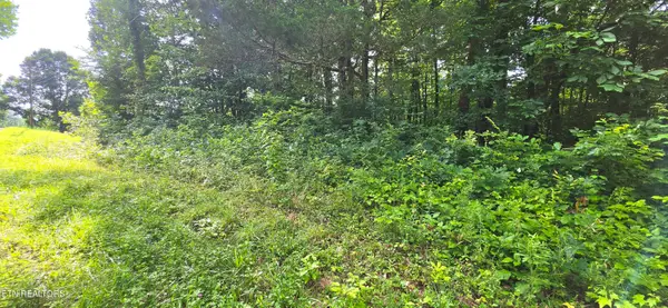 Lot 18 Pine Lane, Maynardville, TN 37807