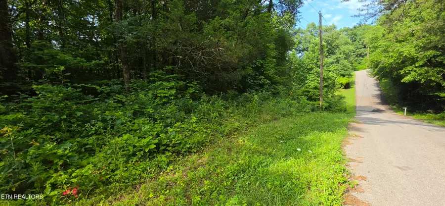Lot 18 Pine Lane, Maynardville, TN 37807 - #3