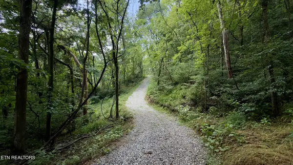 18 Ac E Main St, Dowelltown, TN 37059