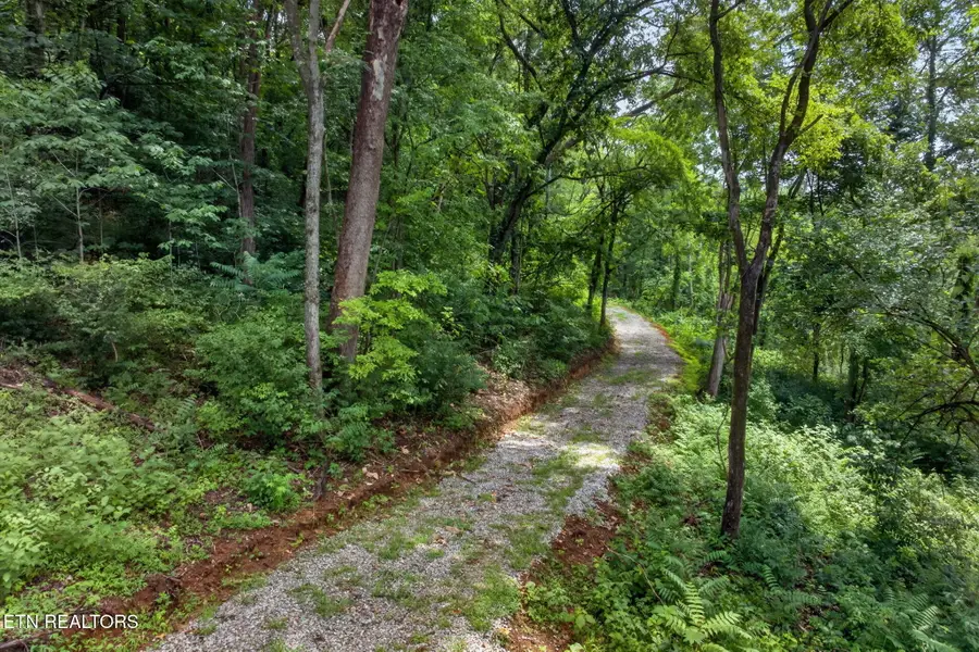18 Ac E Main St, Dowelltown, TN 37059 - #3