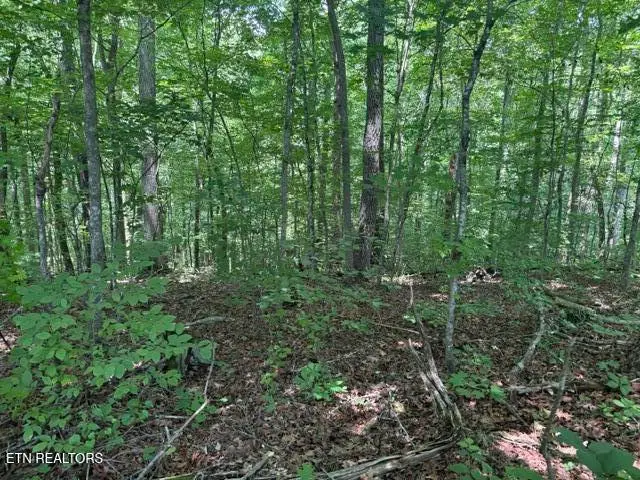 Lot 4 Hackworth Rd, Knoxville, TN 37931 - #1
