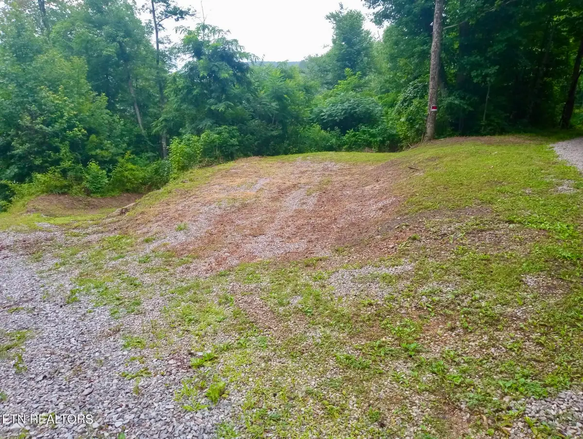 Roe, Winfield, TN 37892 - #1