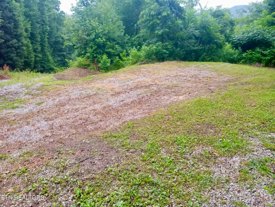 Roe, Winfield, TN 37892 - #2
