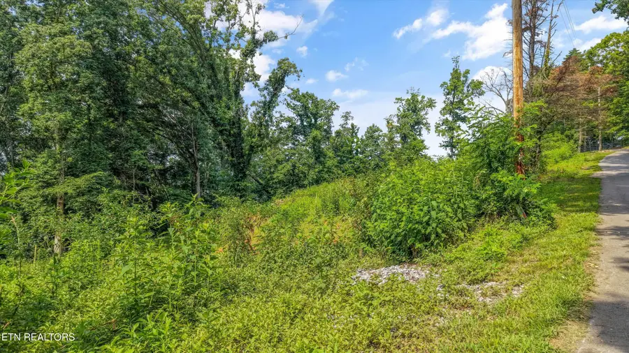 L-13 Cedar Grove St #Lot 13, Loudon, TN 37774 - #2
