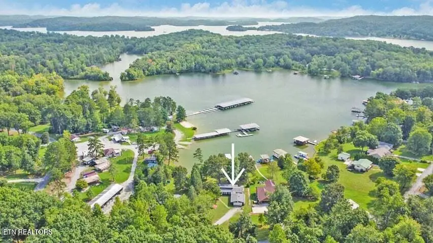 769 Scenic Lakeview Drive, Spring City, TN 37381 - #3