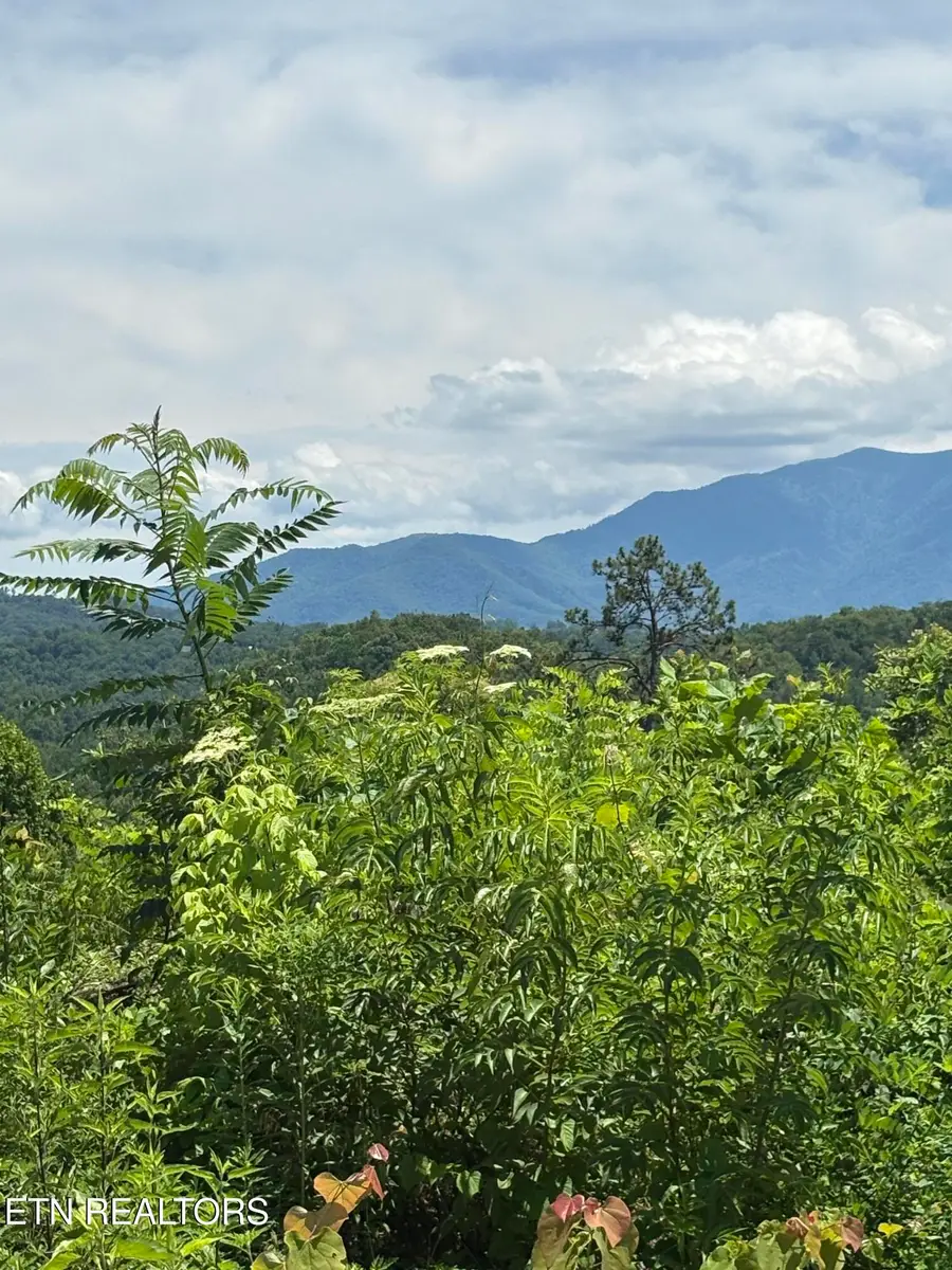 201 Cherry Laurel Drive #201, Pigeon Forge, TN 37863 - #2