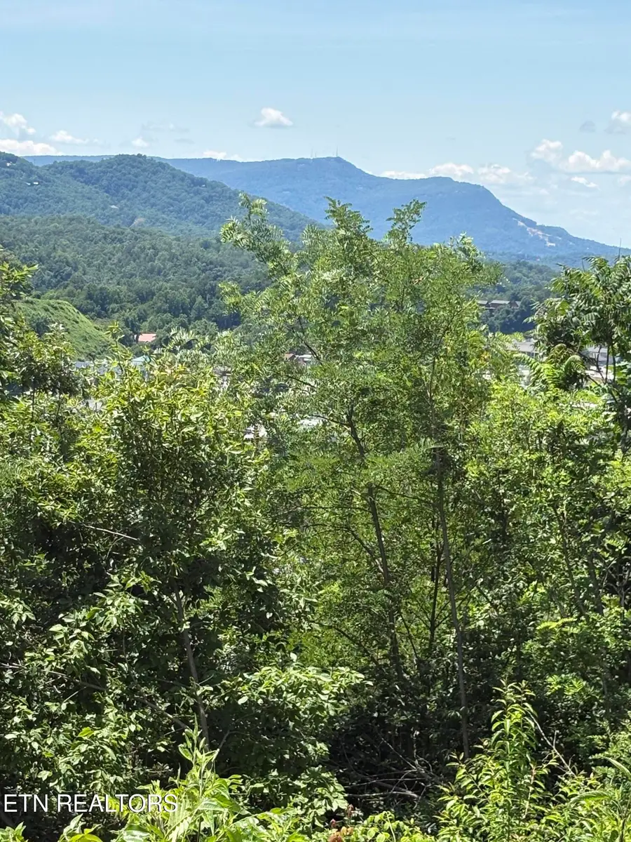 201 Cherry Laurel Drive #201, Pigeon Forge, TN 37863 - #3