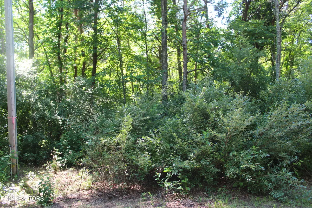 Goney Rd, Grimsley, TN 38565 - #1