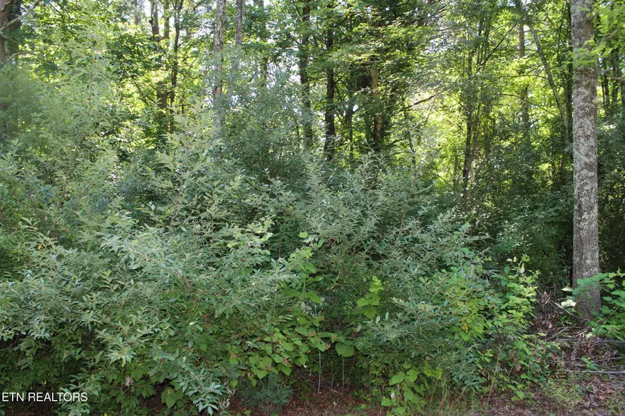 Goney Rd, Grimsley, TN 38565 - #2