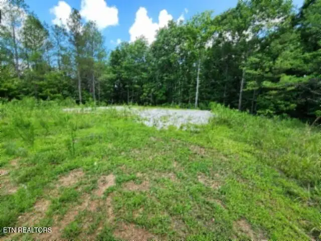 674 Rhodas Way, Sunbright, TN 37872 - #1