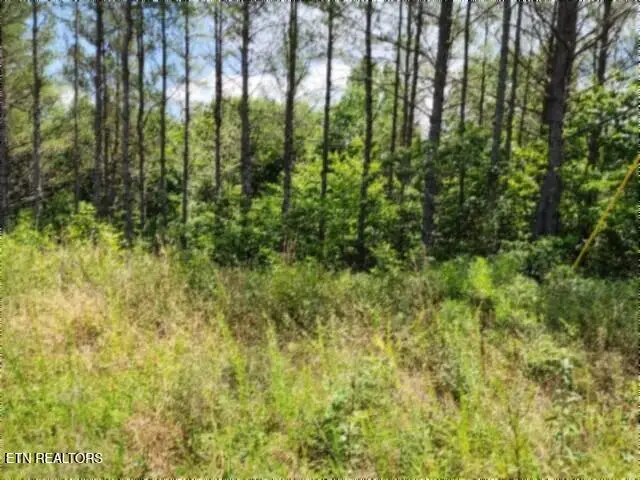 674 Rhodas Way, Sunbright, TN 37872 - #3