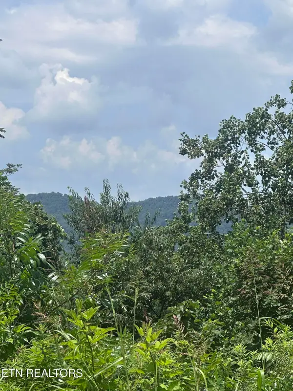 564 Low Valley Rd, Dandridge, TN 37725