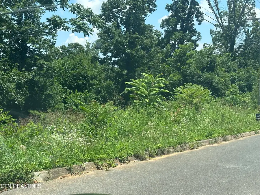 560 Low Valley Rd, Dandridge, TN 37725 - #3