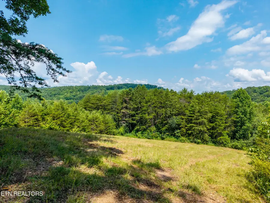 Hwy 68, Tellico Plains, TN 37385 - #2