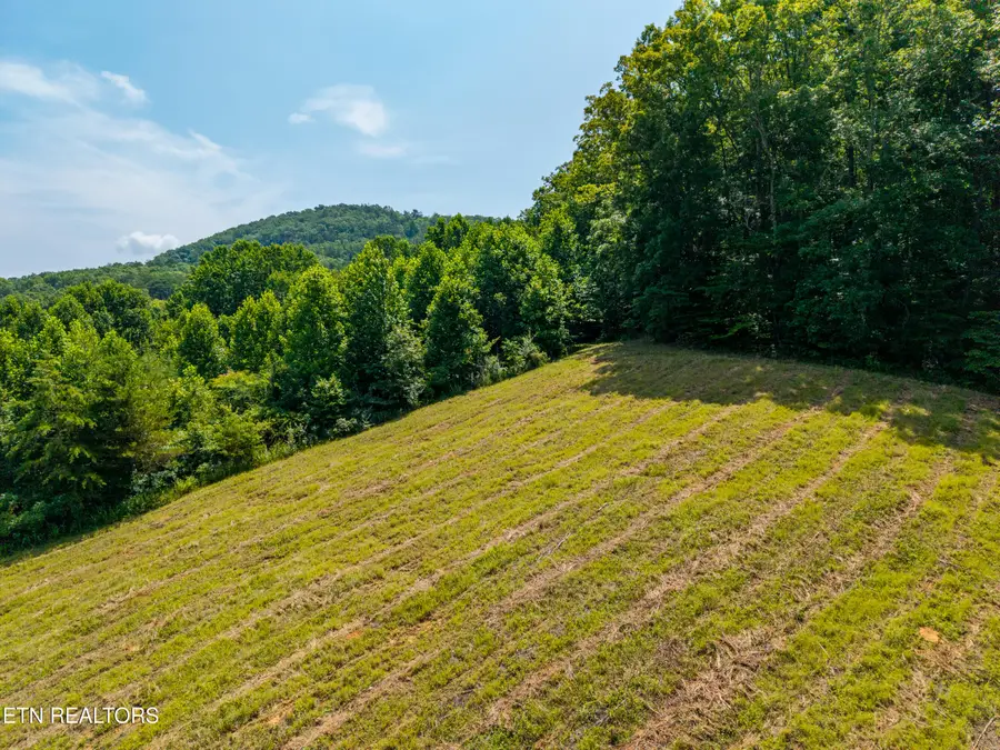 Hwy 68, Tellico Plains, TN 37385 - #3
