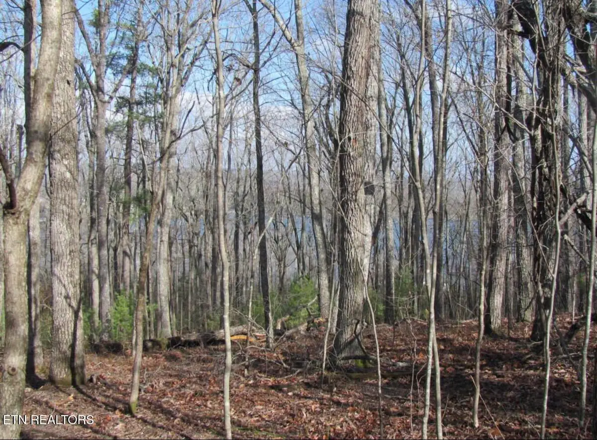 Markham Lane, Crossville, TN 38558 - #1