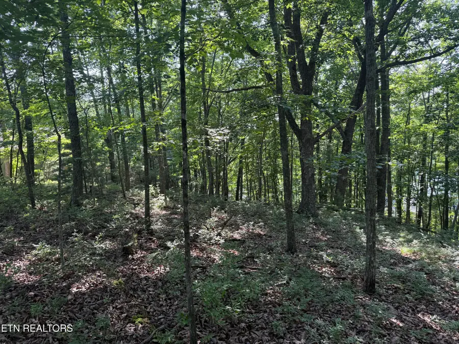 Markham Lane, Crossville, TN 38558 - #2