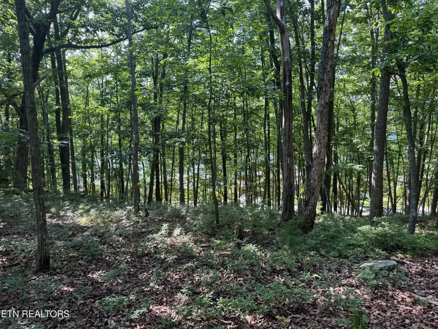 Markham Lane, Crossville, TN 38558 - #3