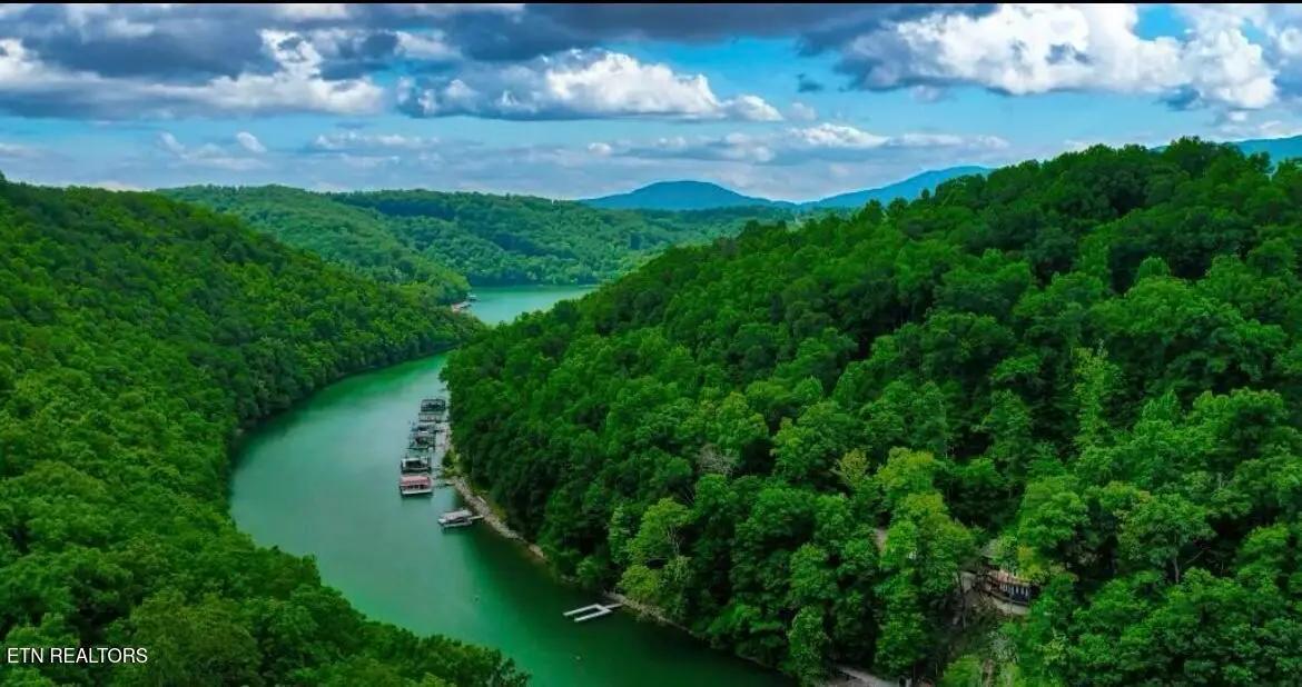 Hiawatha Lane, Caryville, TN 37714 - #1