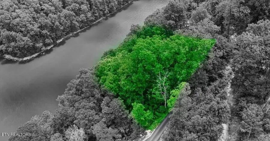 Hiawatha Lane, Caryville, TN 37714 - #2