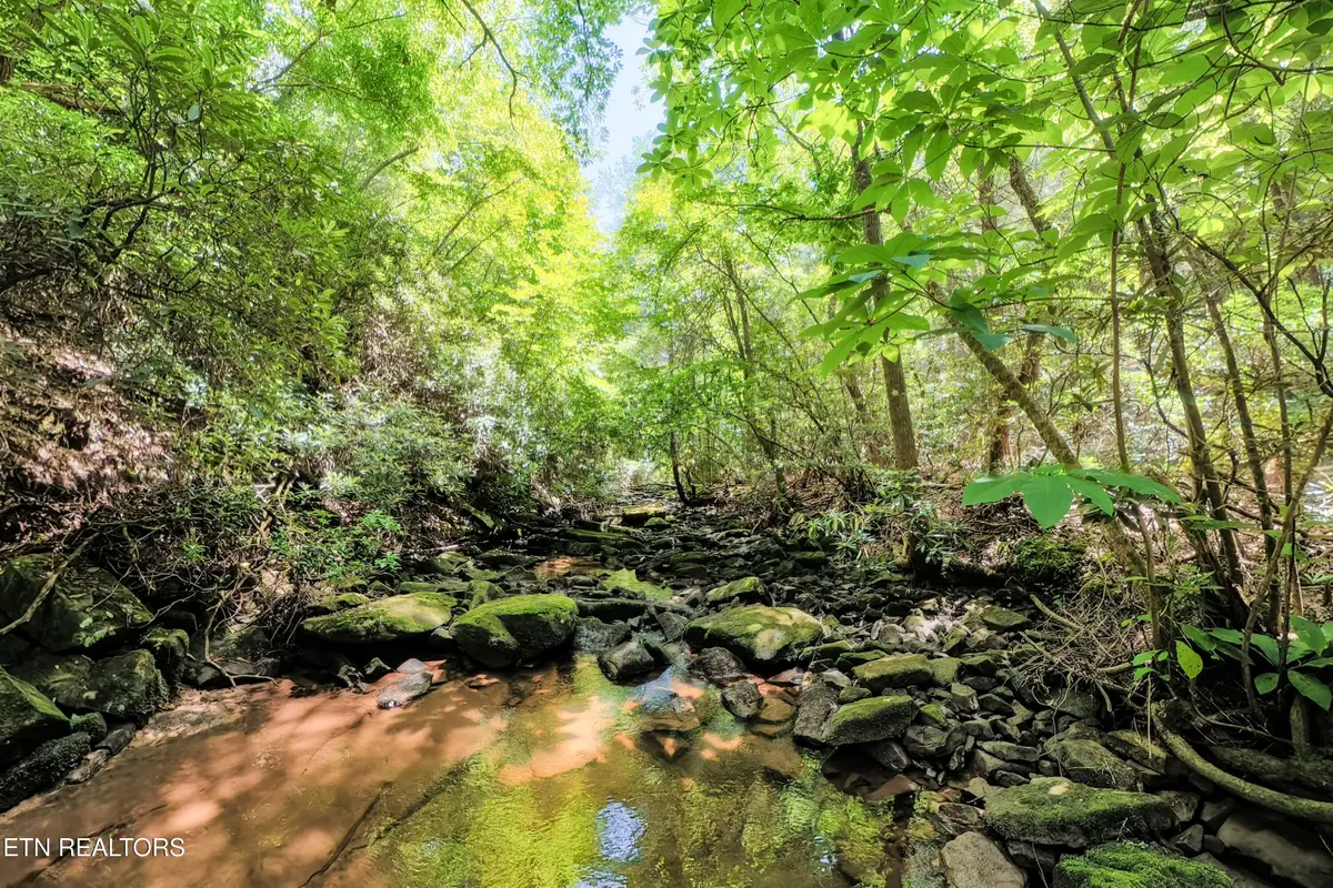 Leffle Webb Rd, Crossville, TN 38572 - #1