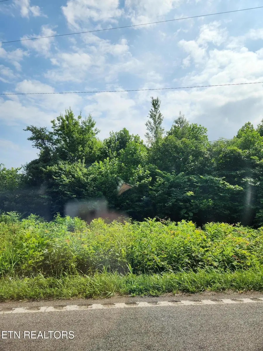 2288 Mecca Pike, Tellico Plains, TN 37385 - #2