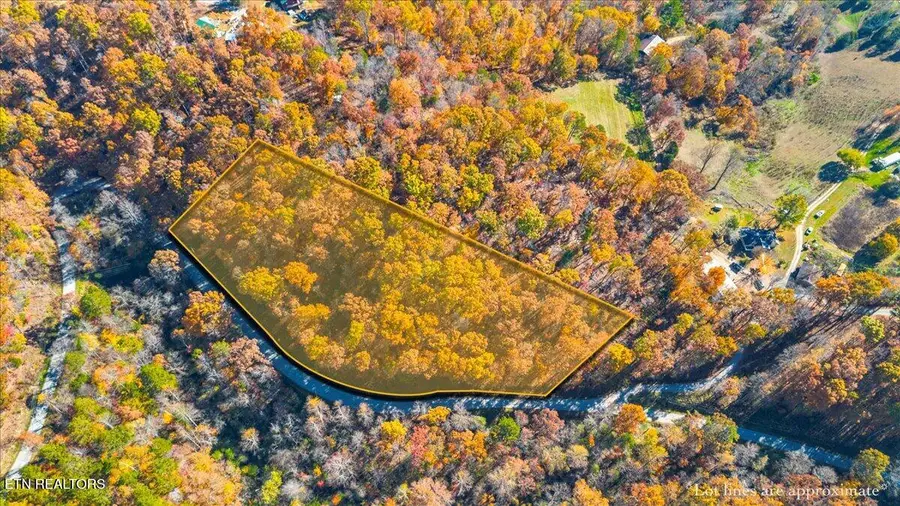 Tract 1 E Dogwood Tr, Lafollette, TN 37766 - #2