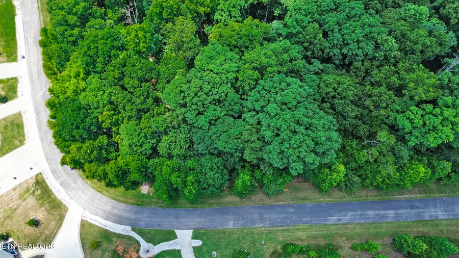 Lot 216 Reuben Ridge Rd, Rockwood, TN 37854 - #2