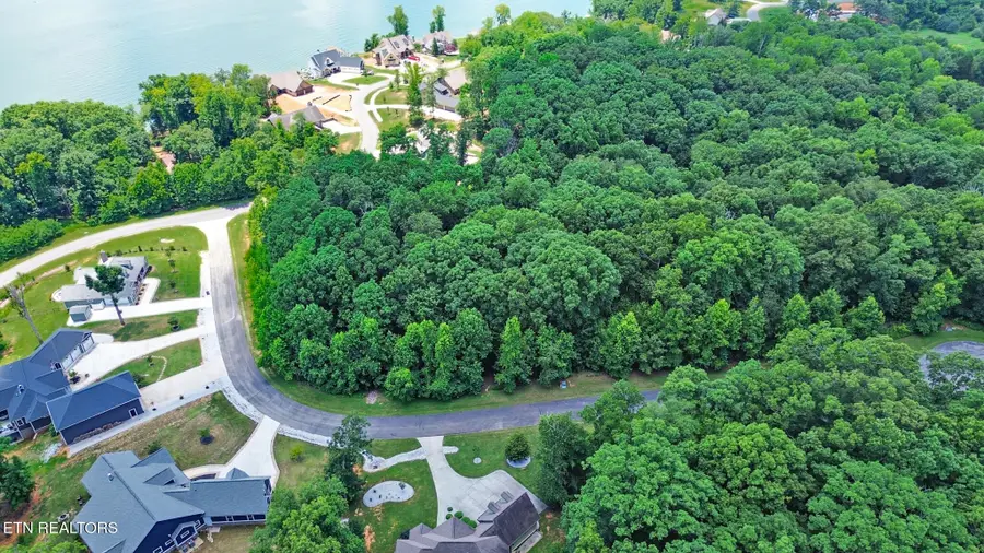 Lot 216 Reuben Ridge Rd, Rockwood, TN 37854 - #3