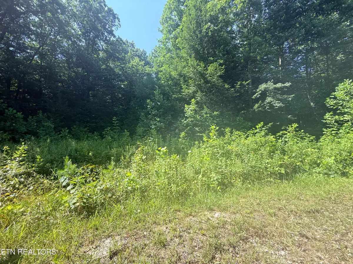 760 Dubose Drive, Jamestown, TN 38556 - #1
