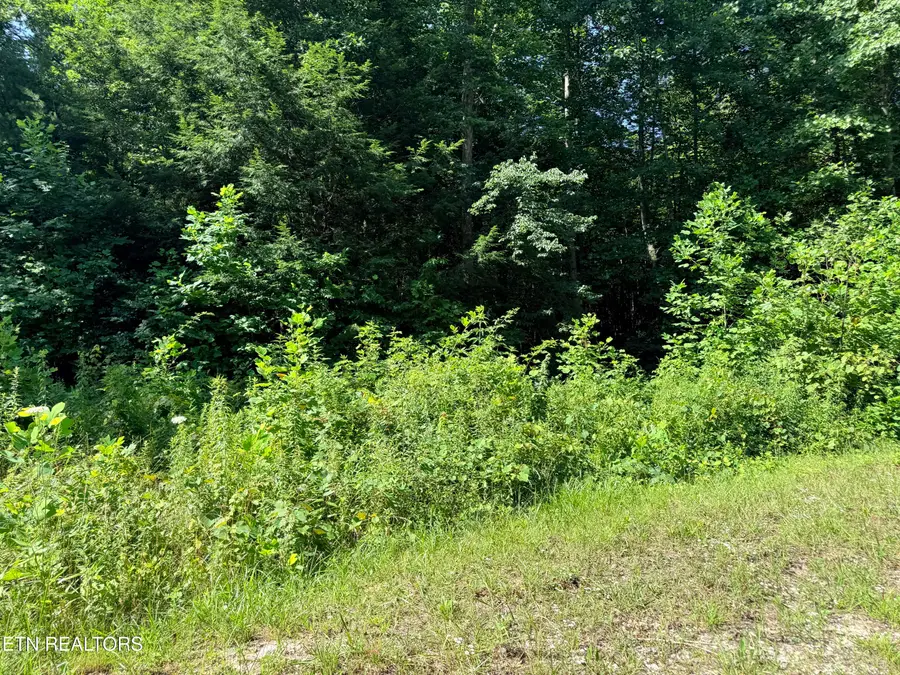 760 Dubose Drive, Jamestown, TN 38556 - #3