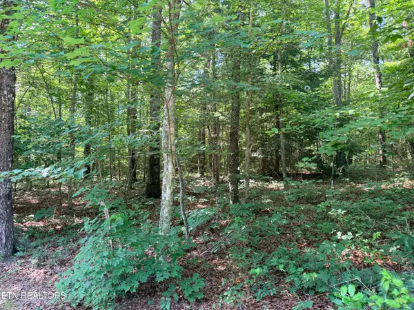 390 Georgee Rd, Jamestown, TN 38556