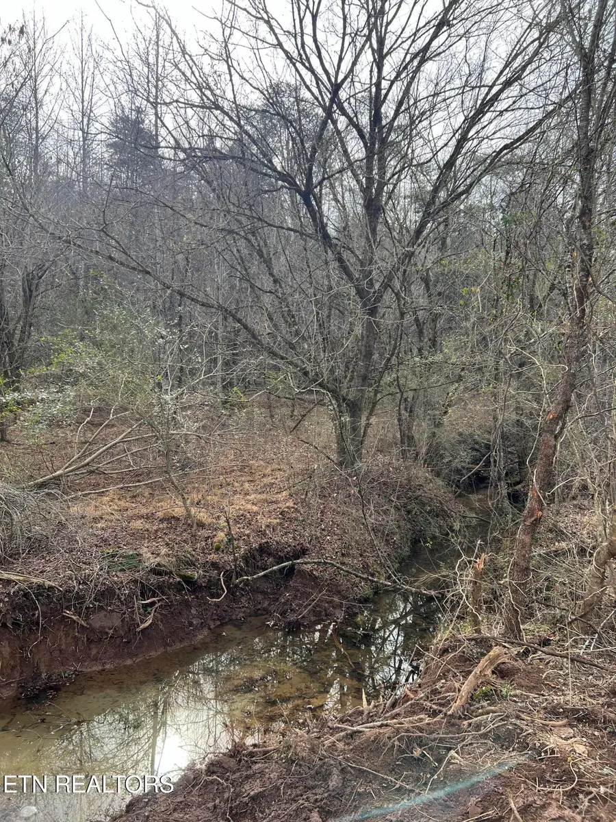 3012 Ballplay Rd, Madisonville, TN 37354 - #2