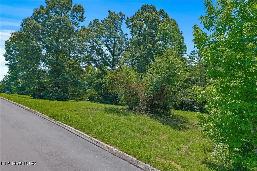 16 Copper Still Way, Madisonville, TN 37354 - #2