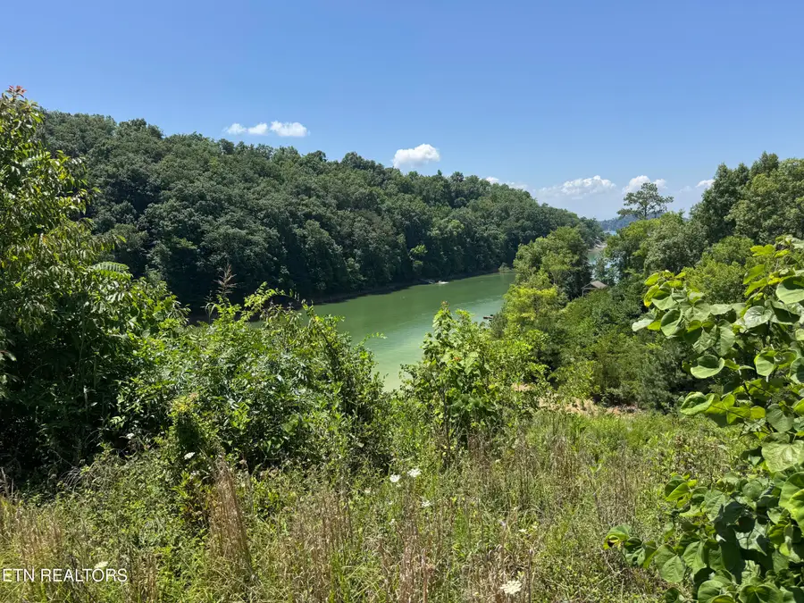 Lot 30 Stone Shore Way, Dandridge, TN 37725 - #2