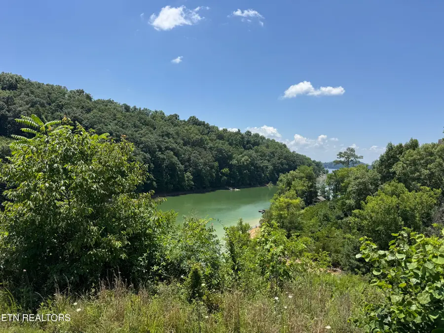 Lot 30 Stone Shore Way, Dandridge, TN 37725 - #3