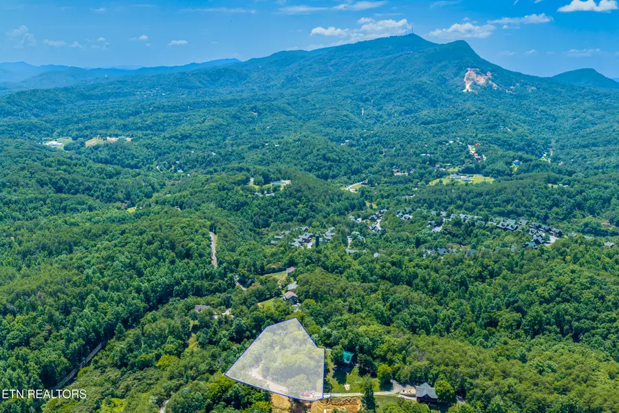 Raejon Way, Sevierville, TN 37862 - #2